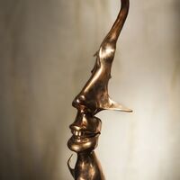 © Tim Gregory Steiner